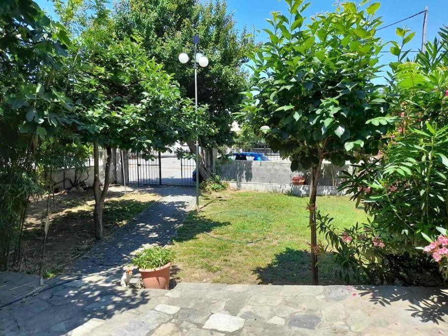 Blue Studio Michaniona Dış mekan fotoğraf